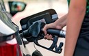 Giá xăng sắp giảm hơn 1.500 đồng/lít?