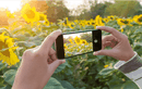 Cách đơn giản để chụp được những bức ảnh đẹp hơn bằng smartphone