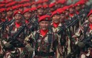 Ngỡ ngàng sức mạnh quân sự quốc gia đứng đầu Đông Nam Á