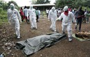 Nguy cơ bùng phát dịch bệnh Ebola ở CHDC Congo