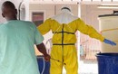 Guinea liên tục có người chết vì Ebola