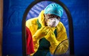 70% nạn dân dịch Ebola ở Sierra Leone qua khỏi