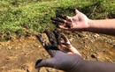 Tận mắt xem bùn thải nghi nhiễm dầu tại cửa súc xả bể chứa sông Đà