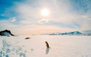 Kỳ bí chuyện ma quái xảy ra ở Nam Cực