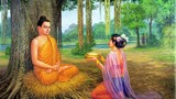 Phật giải thích vì sao phụ nữ ăn mặc hở hang sẽ bị quả báo 