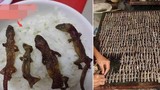 “Khiếp vía” đặc sản thằn lằn khô bốc mùi tanh ngòm của Indonesia