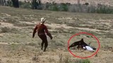 Video: Hãi hùng cảnh đại bàng khổng lồ tấn công bé gái 8 tuổi