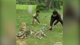 Video: 3 đứa trẻ chiến đấu với trăn quái vật để cứu chó cưng