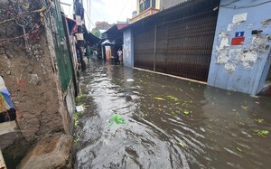 Hà Nội: Mưa lớn khiến nhiều tuyến phố ngập, cây đổ đè ô tô