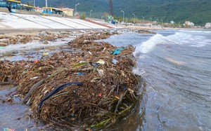 Biển Đà Nẵng ngập rác và củi khô
