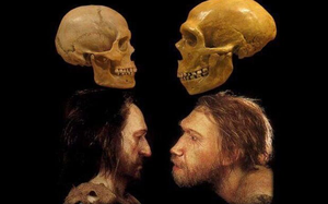 Người Neanderthal tuyệt chủng vì quan hệ tình cảm với... loài người?