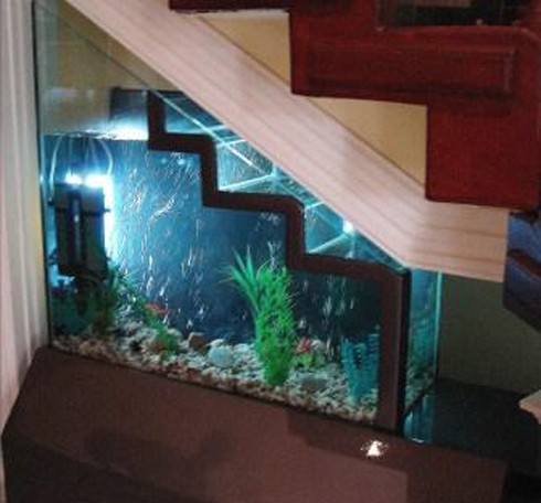 Phong thuỷ: Lưu ý khi đặt bể cá dưới gầm cầu thang | Công nghệ ...