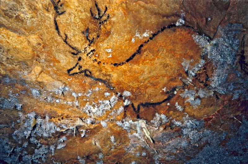 Phát hiện tranh vẽ 30000 tuổi trong hang động, lộ bí mật bất ngờ