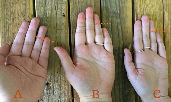 Độ dài ngón tay út nói lên điều gì về tính cách của bạn?