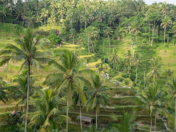 15 ảnh phong cảnh tuyệt đẹp ở Indonesia
