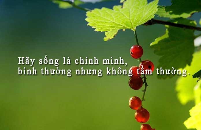 Hay cu la chinh minh dung cam doi mat voi song to gio lon-Hinh-2