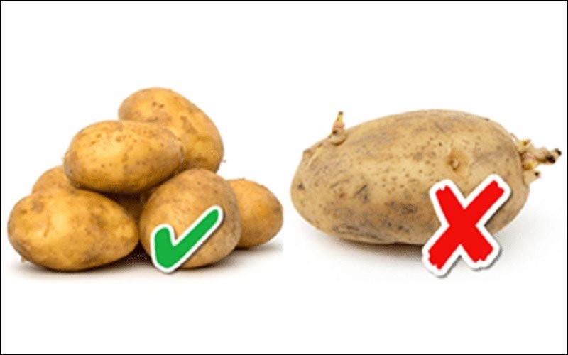 Chọn khoai tây chỉ cần nhìn vào 1 điểm là biết khoai bở bùi