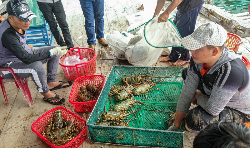 Tom hum Khanh Hoa mourns the loss of life during Tet-Hinh-2