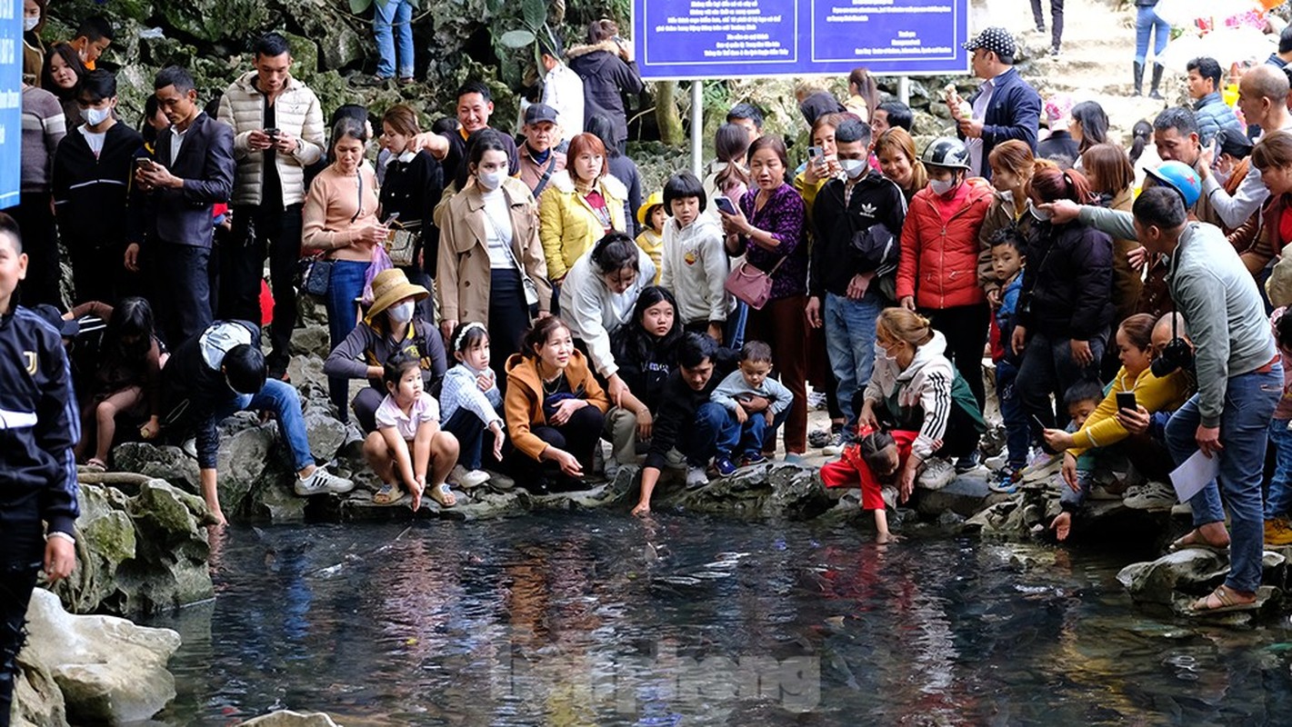 The number of tourists due to visit the festival right at the end of Tet Nguyen and Quy Mao-Hinh-11