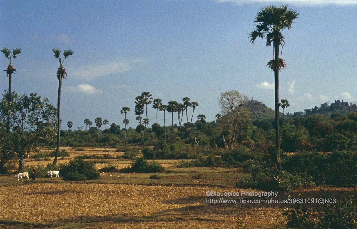 Kham pha Co do Oudong cua Campuchia dau thap nien 1990-Hinh-2