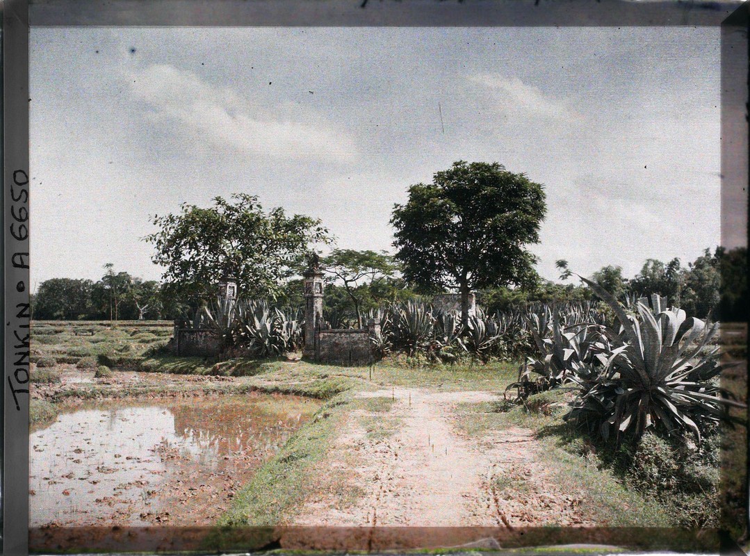 Ảnh màu cực quý về tỉnh Hà Đông năm 1915 (2) - Hình 12 Anh mau cuc quy ve tinh Ha Dong nam 1915 (2)-Hinh-12
