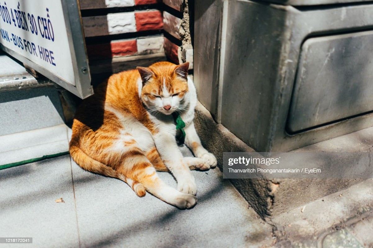 Pictures of the Vietnamese staff in Vietnam - Pictures-5