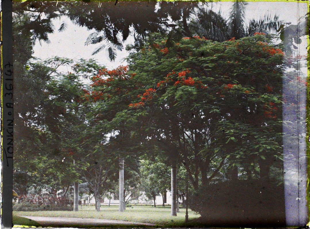 Image of the first image of Hanoi's southern landscape 1921-Hinh-4