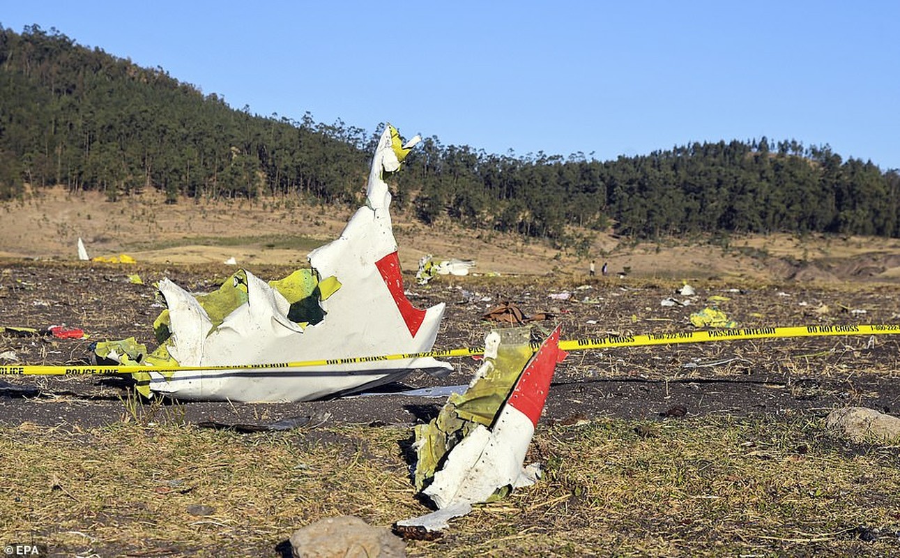 Toan canh vu roi may bay Boeing tham khoc o Ethiopia-Hinh-2