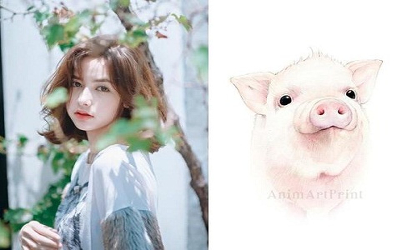 Dự đoán ngày mới 24/12/2022 cho 12 con giáp: Dần vượng tài, Tý hao của - Hình 12 Du doan ngay moi 24/12/2022 cho 12 con giap: Dan vuong tai, Ty hao cua-Hinh-12