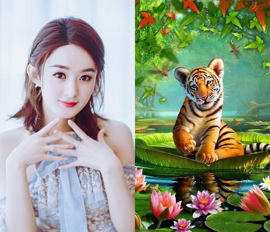 Hai tuần tới: Ba con giáp gặp may liên tiếp, lộ rõ giàu sang - Hình 2 Hai tuan toi: Ba con giap gap may lien tiep, lo ro giau sang-Hinh-2