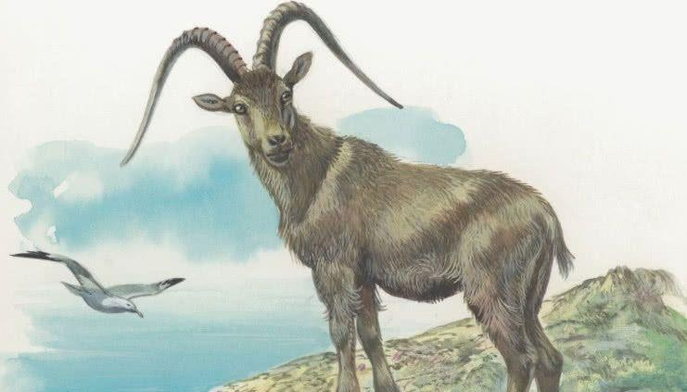 Dự đoán tháng 2/2023 cho 12 con giáp: 2 tuổi gặp may, 2 tuổi xui rủi - Hình 8 Du doan thang 2/2023 cho 12 con giap: 2 tuoi gap may, 2 tuoi xui rui-Hinh-8