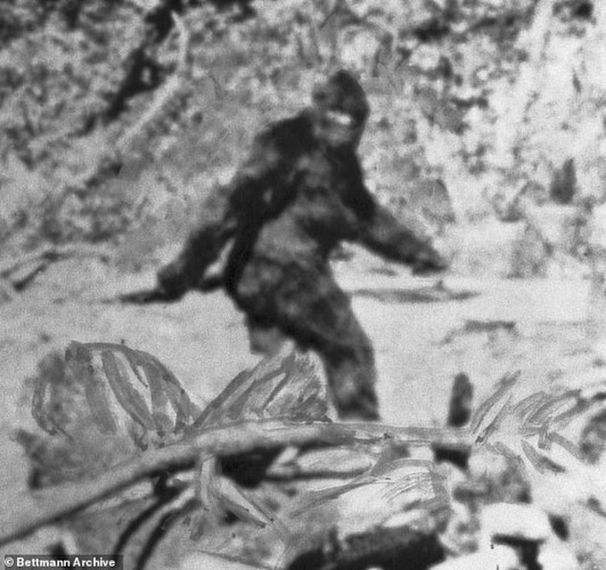 Facts: Bigfoot is the result of aliens?-Picture-10