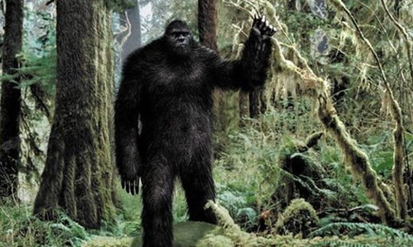 Facts: Bigfoot is the result of aliens?-Picture-2