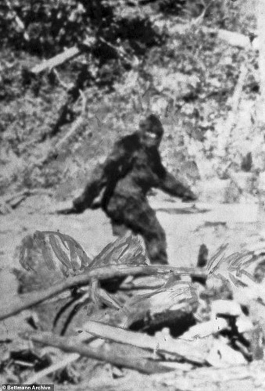 Facts: Bigfoot is the result of aliens?-Image-6