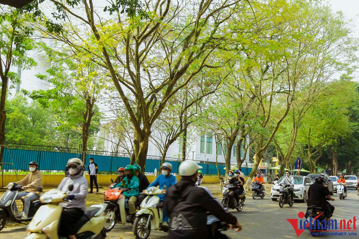 Ha Noi's people are beautiful because they have a beautiful street at the end of the week-Hinh-2