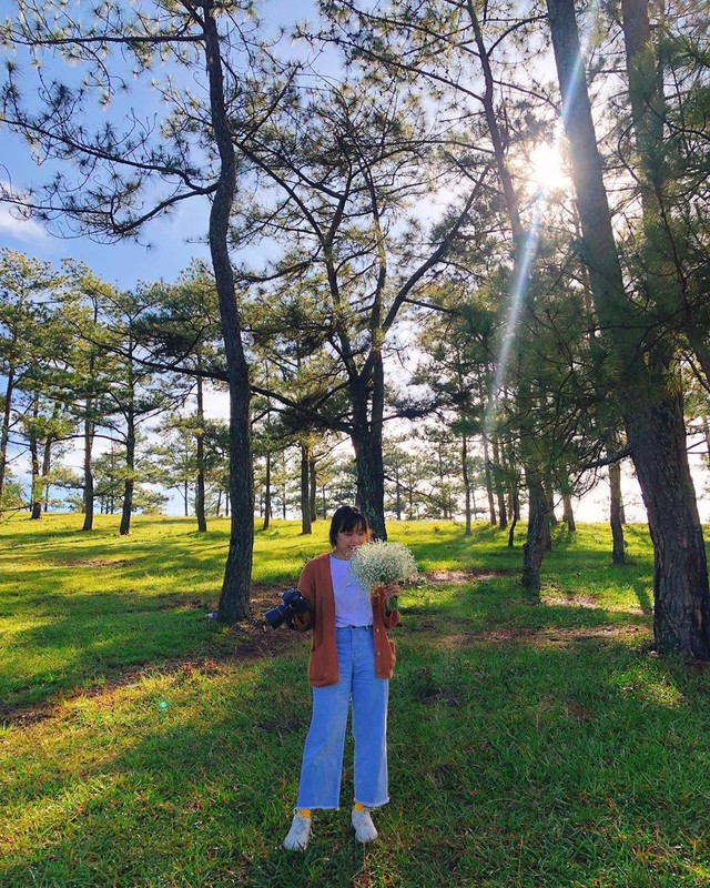 Loạt rừng thông Đà Lạt đẹp như tranh vẽ hiếm người biết - Hình 10 Loat rung thong Da Lat dep nhu tranh ve hiem nguoi biet-Hinh-10