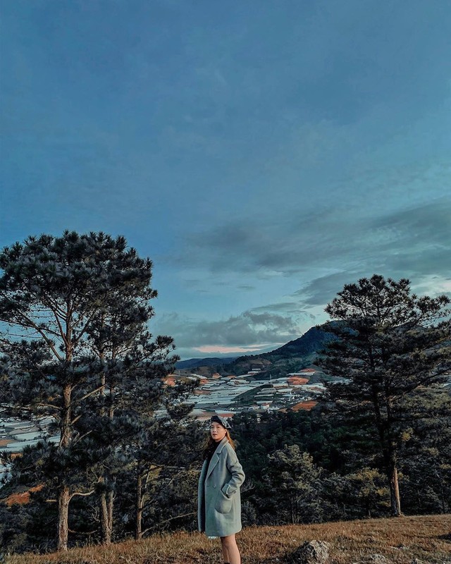 Loạt rừng thông Đà Lạt đẹp như tranh vẽ hiếm người biết - Hình 12 Loat rung thong Da Lat dep nhu tranh ve hiem nguoi biet-Hinh-12
