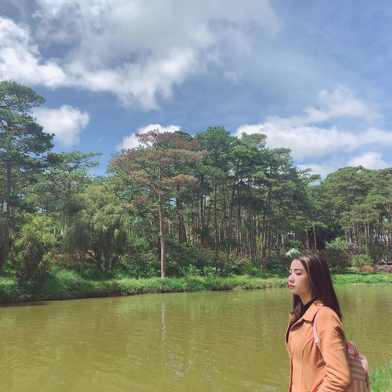 Loạt rừng thông Đà Lạt đẹp như tranh vẽ hiếm người biết - Hình 4 Loat rung thong Da Lat dep nhu tranh ve hiem nguoi biet-Hinh-4