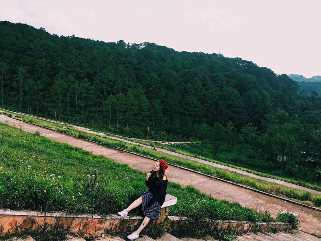 Loạt rừng thông Đà Lạt đẹp như tranh vẽ hiếm người biết - Hình 8 Loat rung thong Da Lat dep nhu tranh ve hiem nguoi biet-Hinh-8
