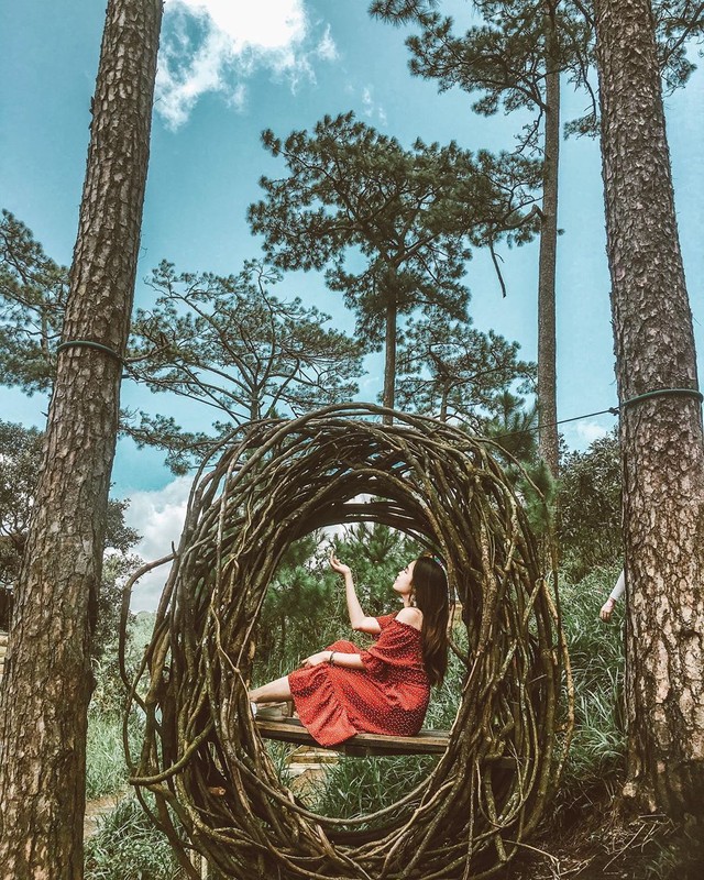 Loạt rừng thông Đà Lạt đẹp như tranh vẽ hiếm người biết - Hình 9 Loat rung thong Da Lat dep nhu tranh ve hiem nguoi biet-Hinh-9