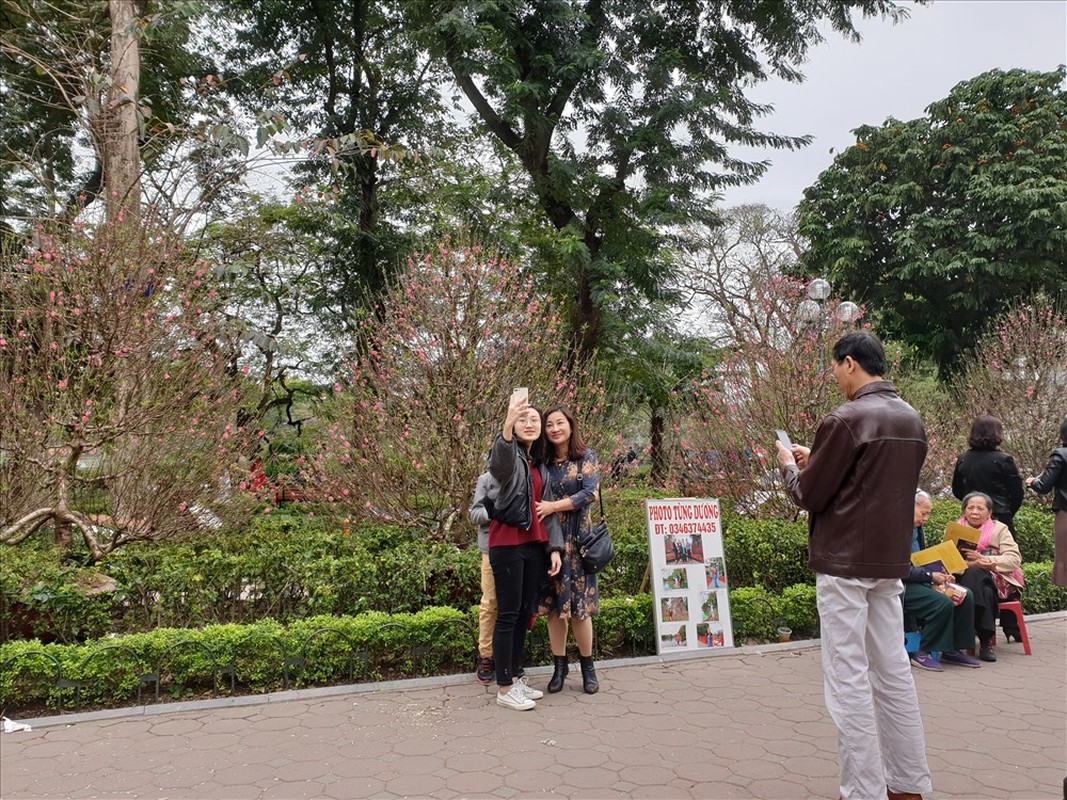 But check-in during Tet o Ha Noi attracts the bamboo world-Hinh-3