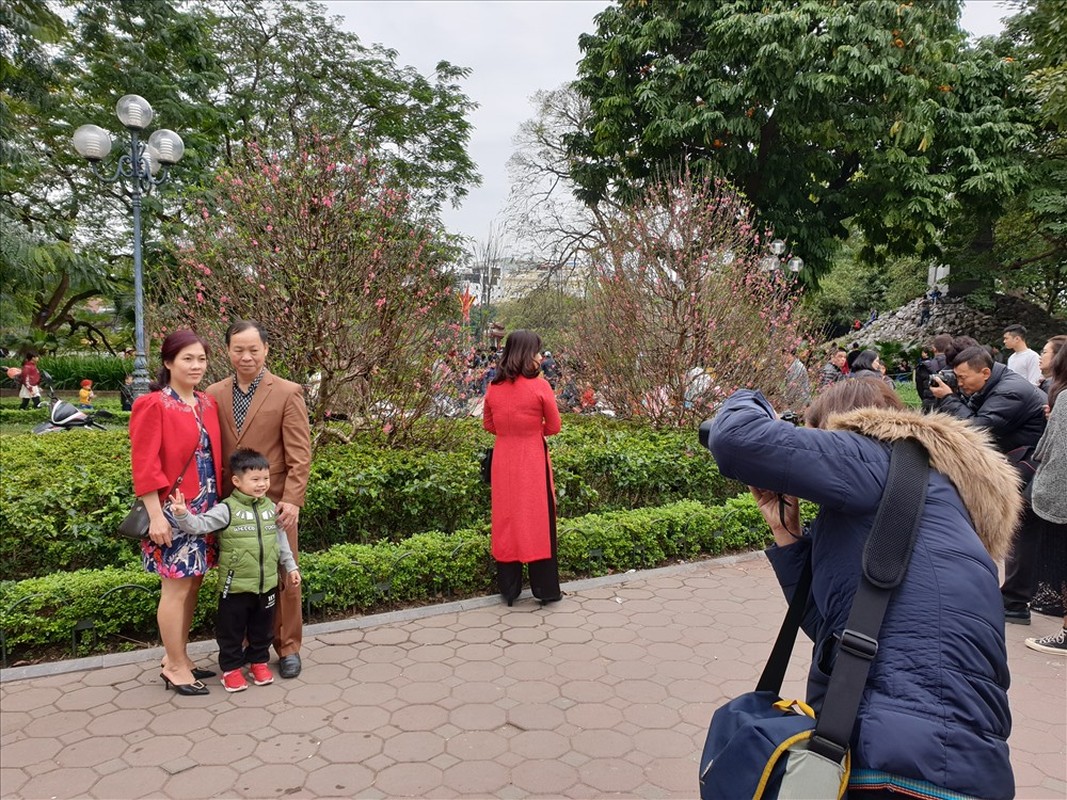 But check-in during Tet o Ha Noi attracts the bamboo world-Hinh-4