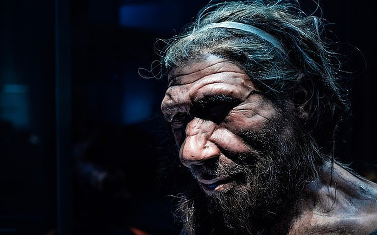 Nguoi Neanderthal tuyet chung vi quan he tinh cam voi... loai nguoi?-Hinh-6