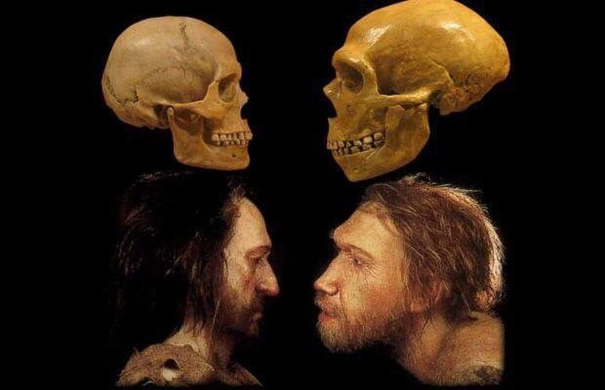 Nguoi Neanderthal tuyet chung vi quan he tinh cam voi... loai nguoi?