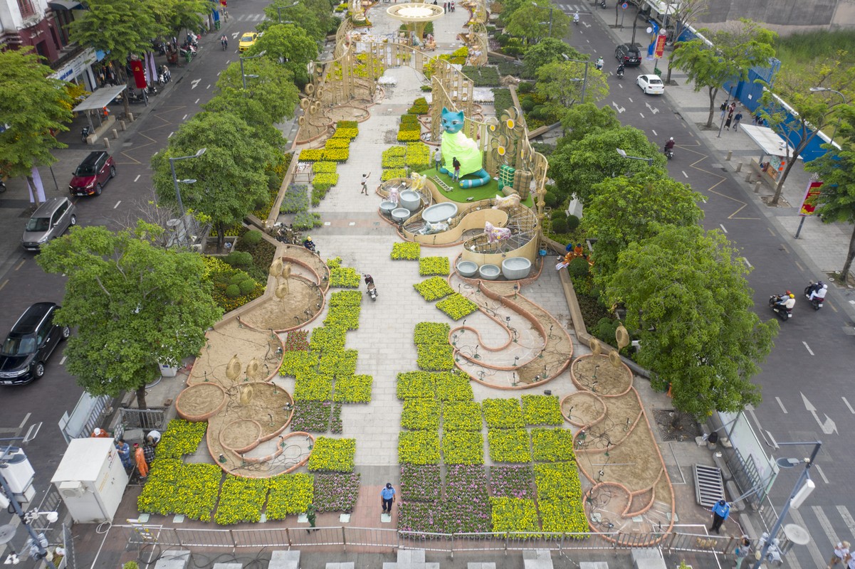 How to cultivate Nguyen Hue's flowers before opening Mac-Hinh-2