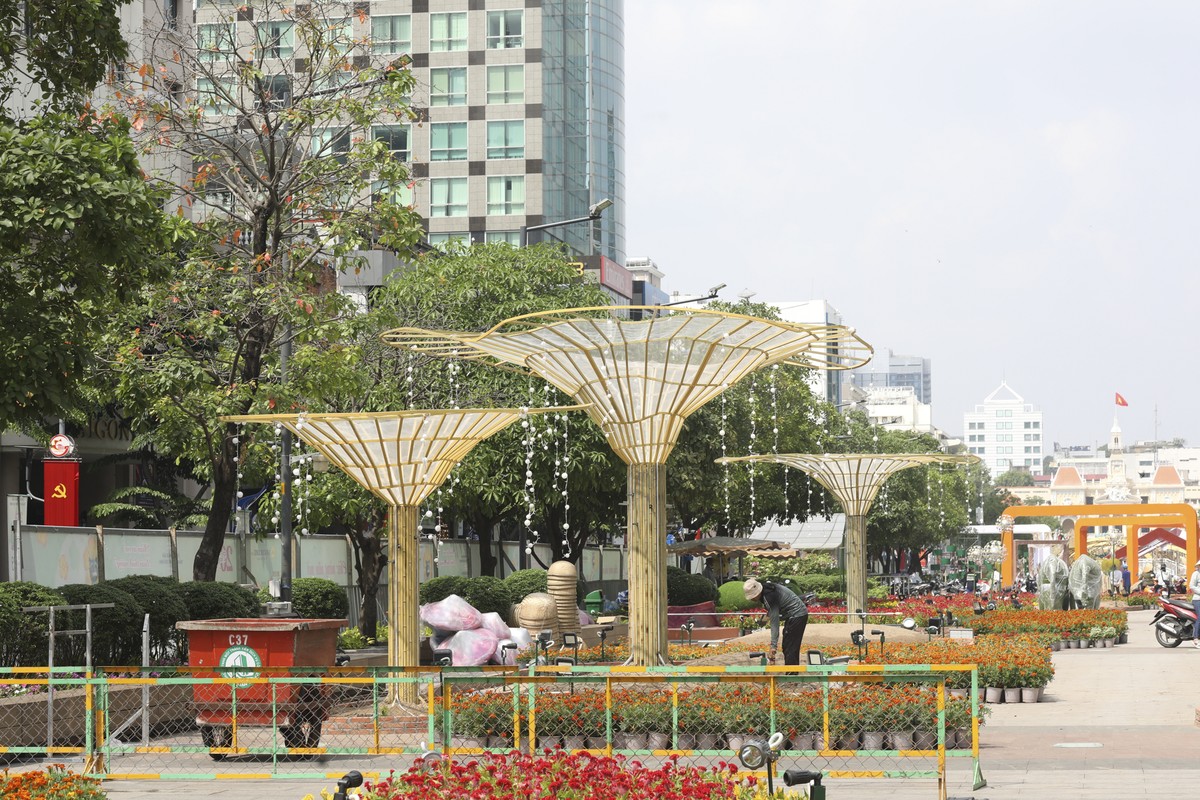 How to cultivate Nguyen Hue's flowers before opening Mac-Hinh-3