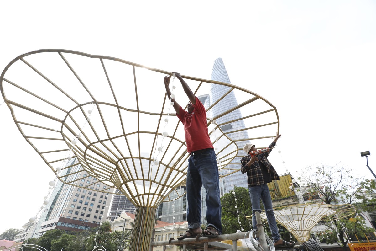 How to cultivate Nguyen Hue's flowers before opening Mac-Hinh-4