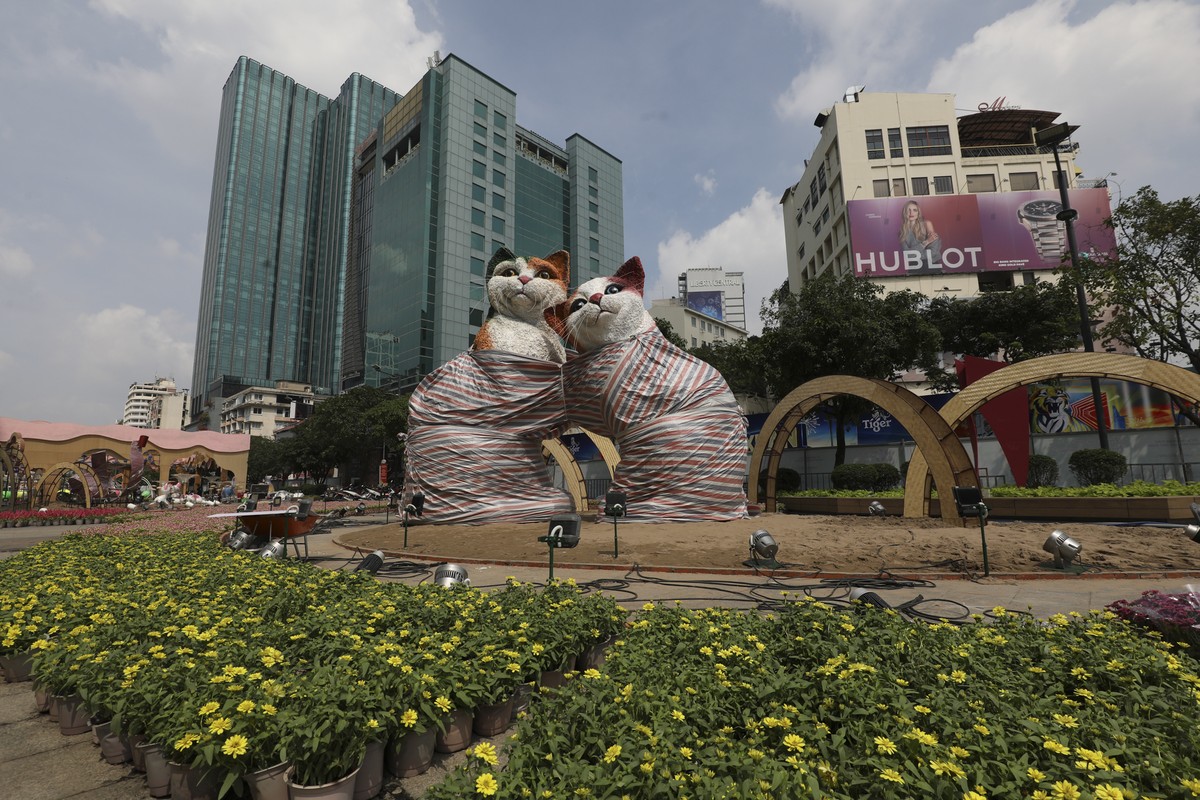 How to cultivate Nguyen Hue's flowers before opening Mac-Hinh-6