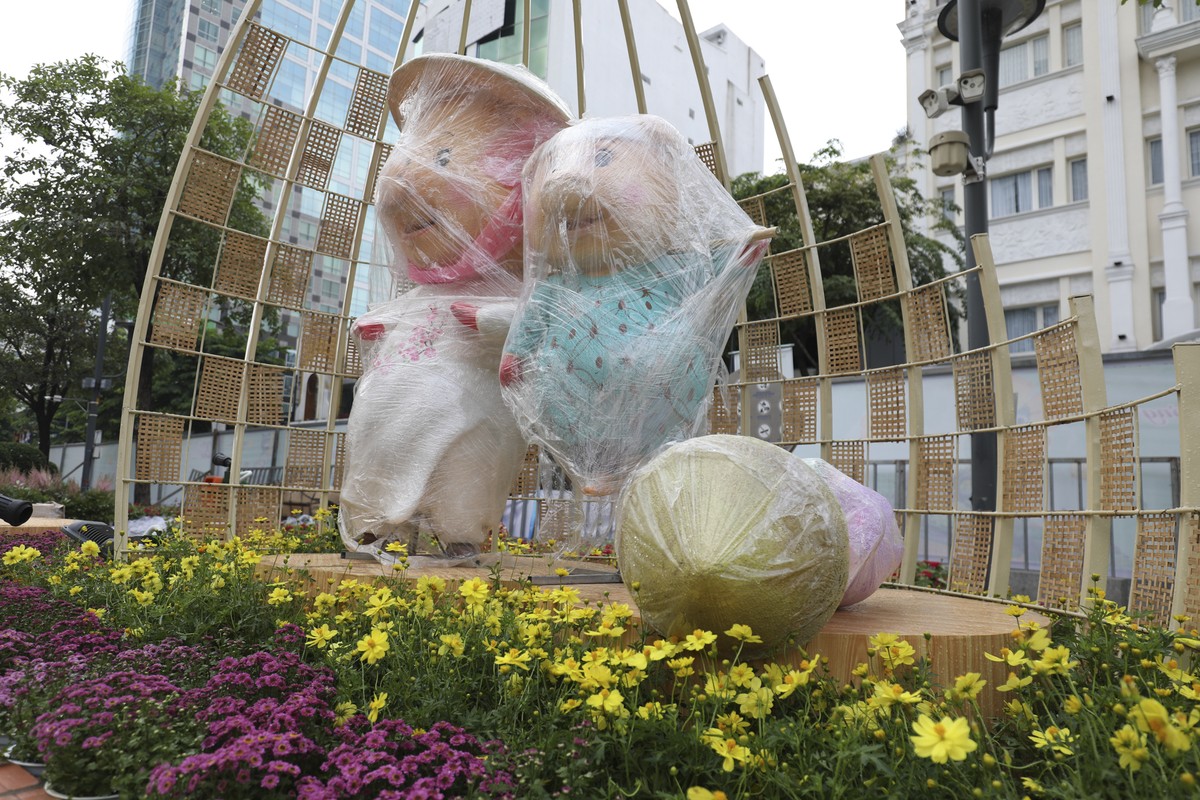 How to cultivate Nguyen Hue's flowers before opening Mac-Hinh-8