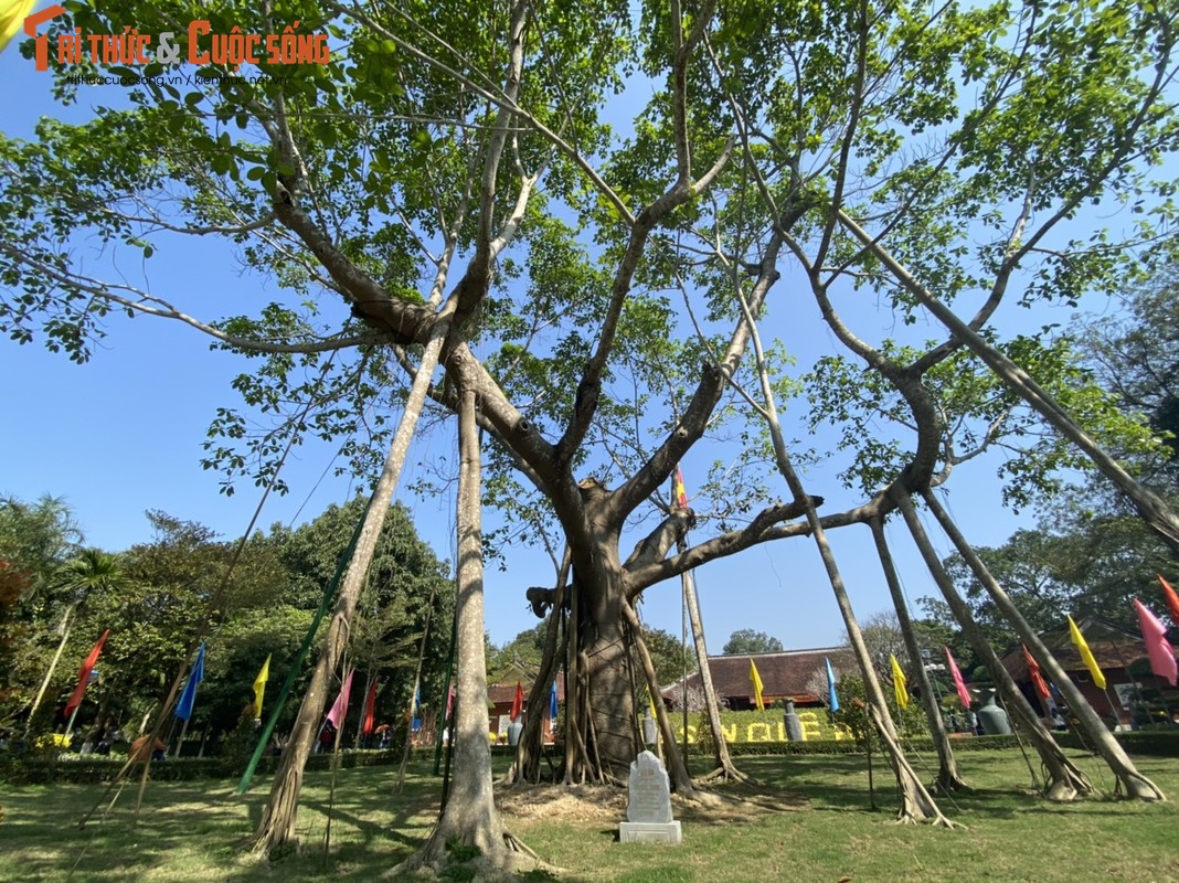 Tourists flocked to visit the Bac street at Kim Lien-Hinh-13 relic site